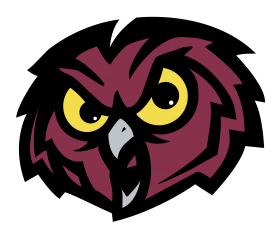 Temple Owls 12619