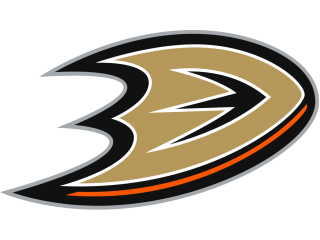 BB Anaheim Ducks 21219
